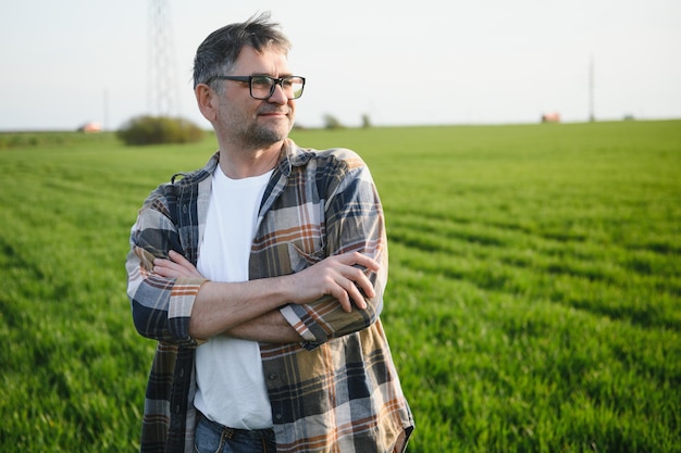 Retrato de fazendeiro sênior em pé no campo de trigo verde