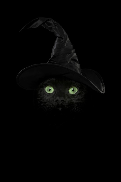 Foto retrato de gato preto com olhos verdes brilhantes e vibrantes com um chapéu de bruxa como um conceito para o halloween ou bruxas