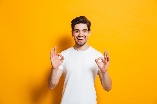 Retrato de homem bonito animado em roupas básicas, sorrindo e mostrando sinal de ok na câmera