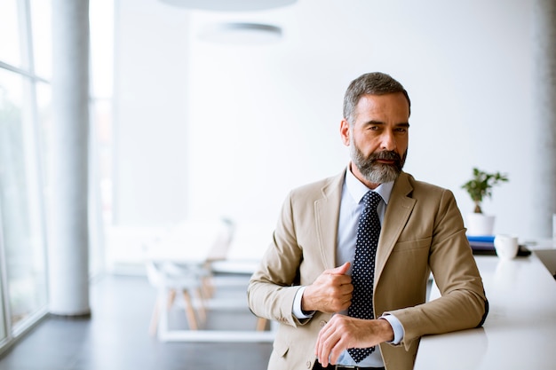 Retrato de homem de negócios sênior no escritório