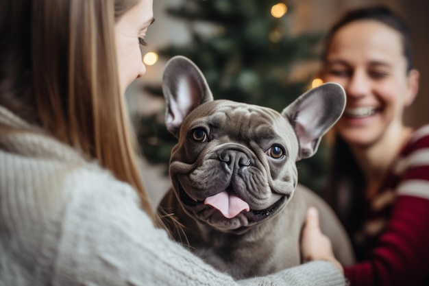 retrato de homem e mulher abraçando um bonito bulldog francês conceito de animal de estimação