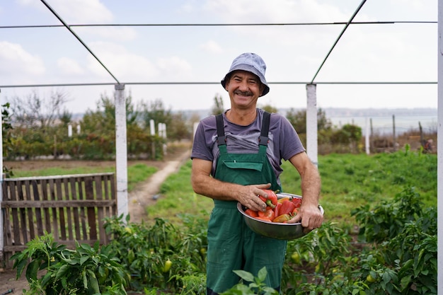 Foto retrato de homem maduro colhendo vegetais do jardim do quintal homem caucasiano orgulhoso agricultor colhendo vegetais