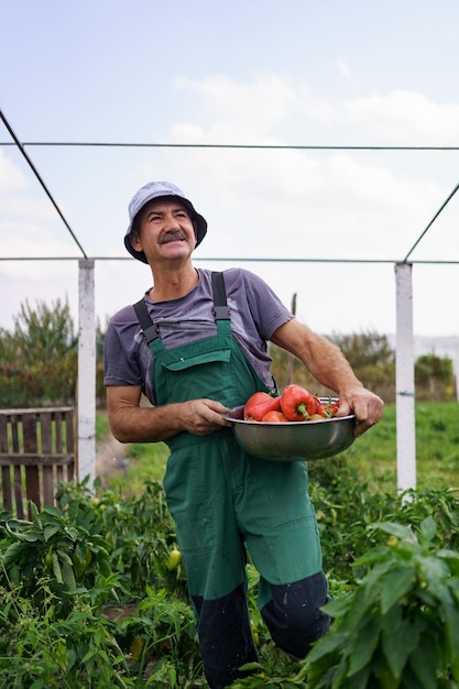 Retrato de homem maduro colhendo vegetais do jardim do quintal Homem caucasiano orgulhoso agricultor colhendo vegetais