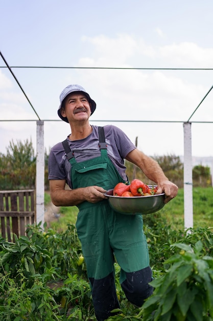 Retrato de homem maduro colhendo vegetais do jardim do quintal homem caucasiano orgulhoso agricultor colhendo vegetais