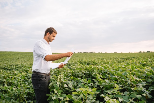 Retrato de jovem agricultor em pé no campo de soja.