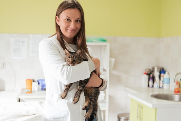 Retrato de médica de clínica veterinária no hospital de animais segurando gato doente bonito
