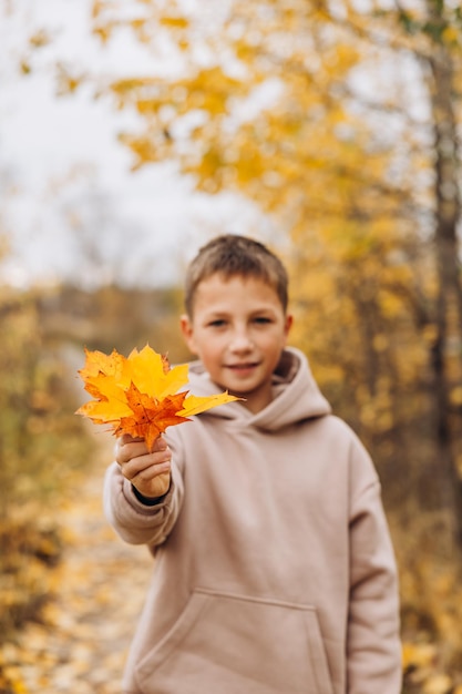 Retrato de menino adolescente sorridente segurando o buquê de folhas amarelas de bordo de outono na mão ao ar livre Criança feliz se divertindo andando no parque de outono Foco seletivo