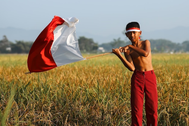 Retrato de menino de escola primária indonésio no campo de arroz acenando uma bandeira indonésia comemorando