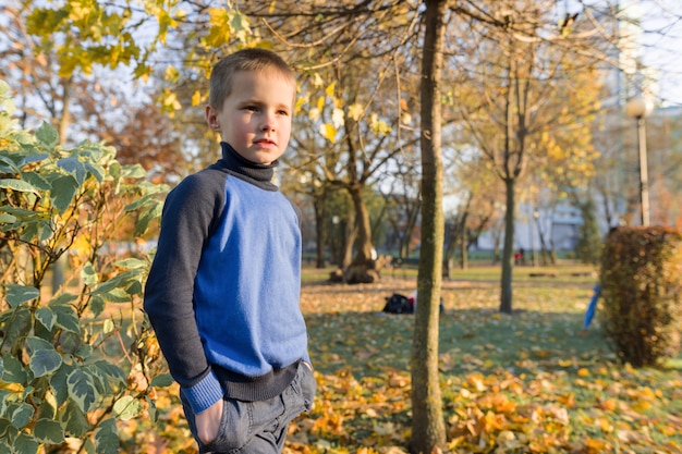 Retrato de menino no parque ensolarado de outono, árvore de bordo de fundo