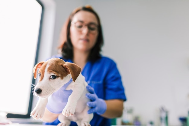 Retrato de mulher com cão