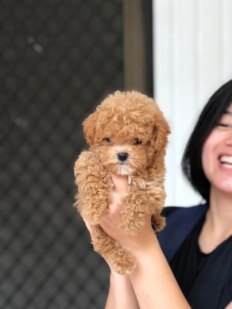 Retrato de mulher com cão