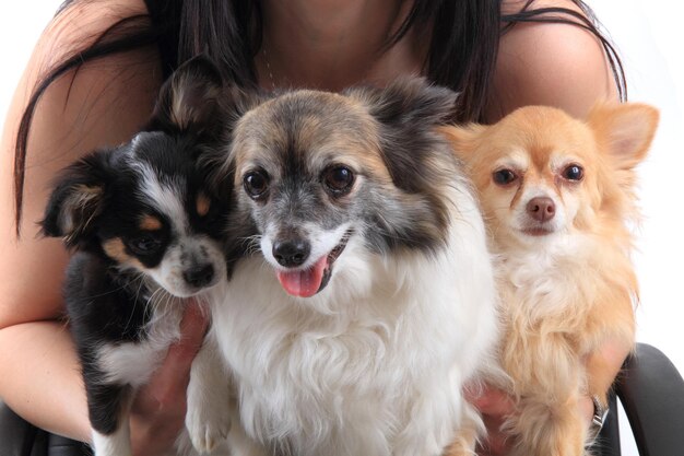 Foto retrato de mulher com cão