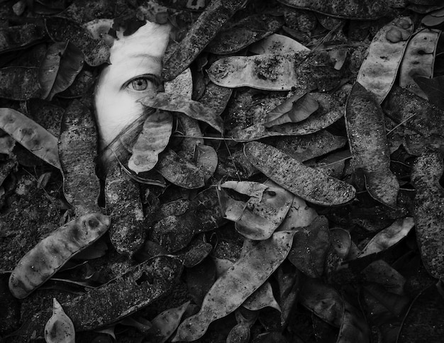 Foto retrato de mulher visto através de folhas e areia