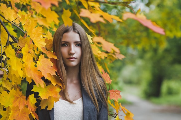 Retrato de outono de uma menina em maple folhas 3666