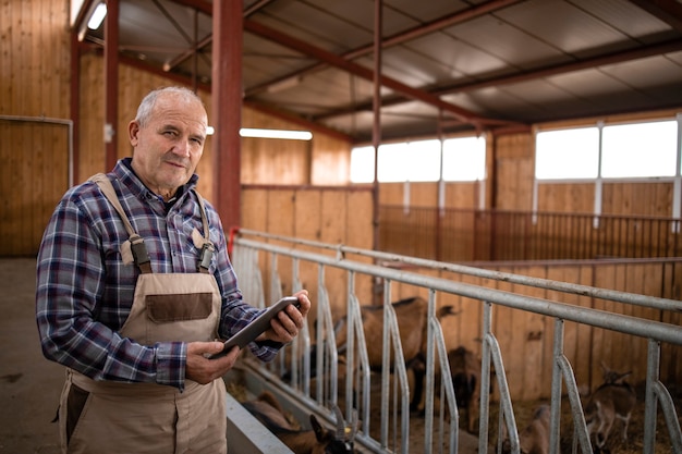 Retrato de pecuarista sênior com computador tablet em pé de animais domésticos em casa de fazenda