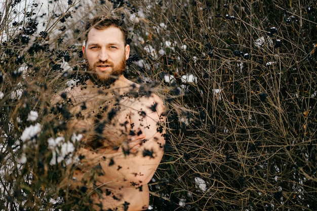 Retrato de ruivo brutal homem nu com barba posando entre arbustos