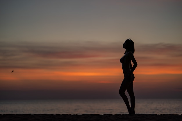 Retrato de silhueta de mulher de biquíni na praia, momento do sol dourado. Conceito de férias e viagens.
