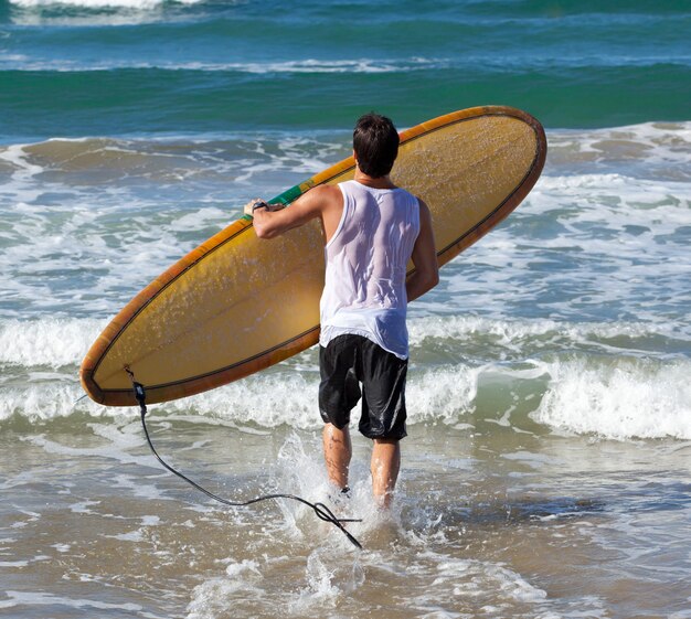 Retrato, de, surfista, com, longboard