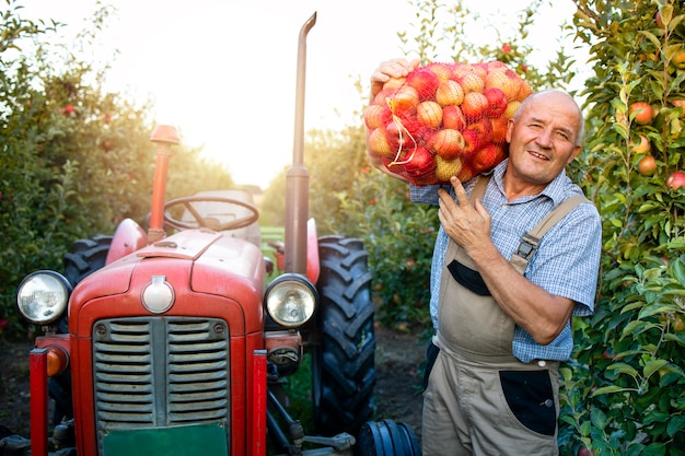 Retrato de trabalhador agrícola segurando um saco cheio de frutas de maçã ao lado de uma velha máquina de trator com estilo retrô.