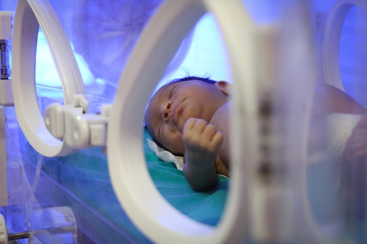 Foto retrato de um bebê bonito em uma incubadora
