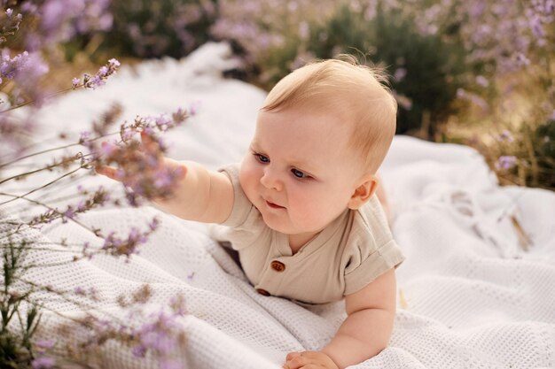 Retrato de um bebê em um campo de lavanda