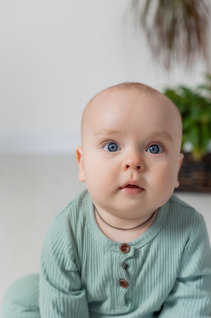 retrato de um bebê gordinho encantador em um macacão verde sentado na vista de cima do chão