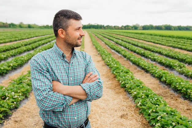 Retrato de um belo jovem agricultor sorrindo com os braços cruzados na colheita de morango em um fundo de agricultores de pessoas bonitas e saudáveis