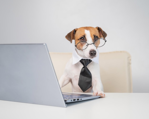 Retrato de um cão sentado em uma mesa