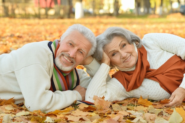 Retrato de um casal feliz de idosos no parque outono