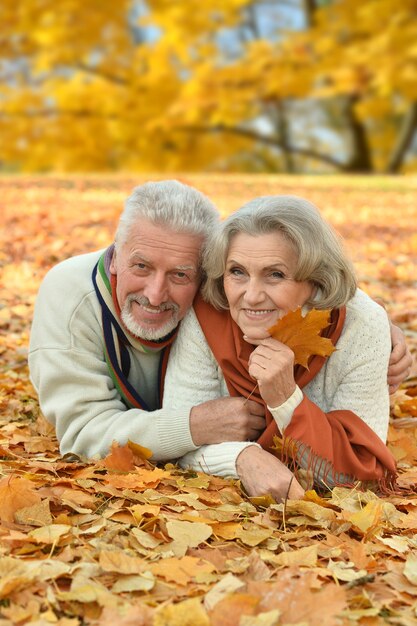 Retrato de um casal feliz de idosos no parque outono