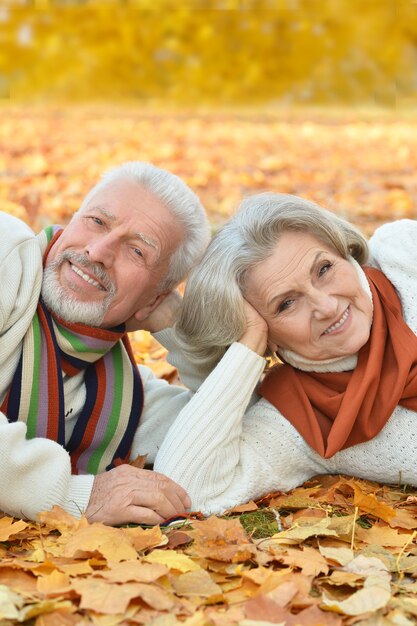 Retrato de um casal feliz de idosos no parque outono