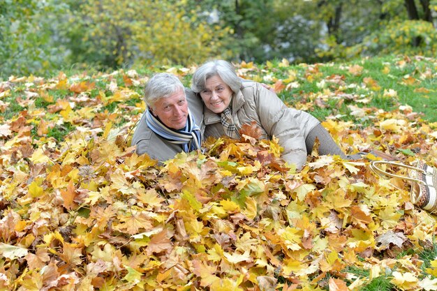 Retrato de um casal feliz de idosos no parque outono