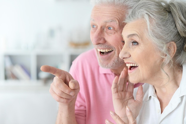 Retrato de um casal feliz sênior