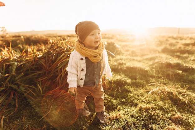 Retrato, de, um, cute, menino, executando, através, a, campo, em, pôr do sol