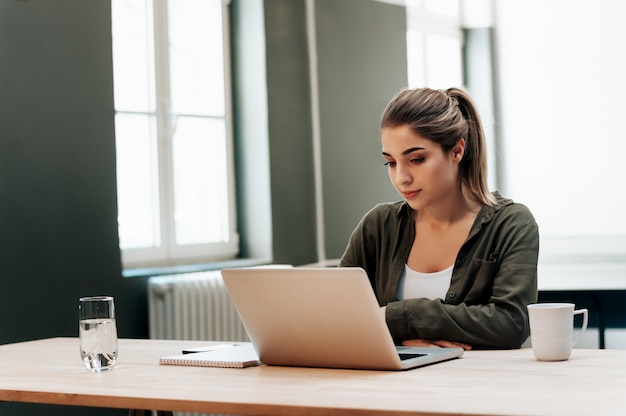 Retrato de um estudante fêmea atrativo que usa o laptop.