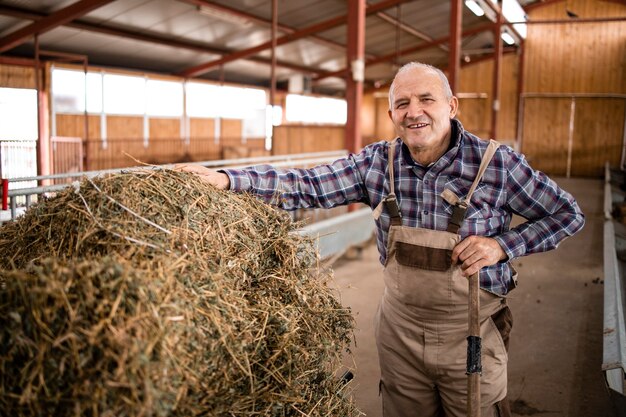 Retrato de um fazendeiro parado em um carrinho de mão com comida de feno e trabalhando na casa da fazenda