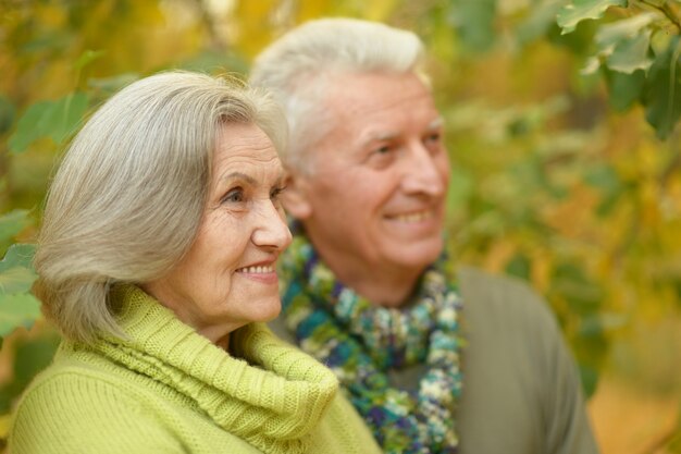 Retrato de um feliz casal maduro no parque outono