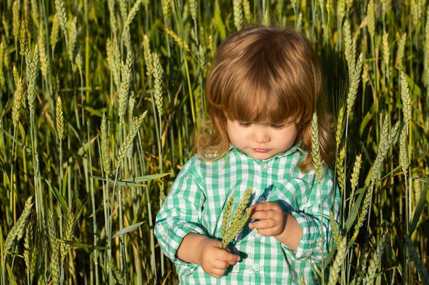 Retrato de um garotinho em um campo de trigo ao ar livre na fazenda Pequeno agricultor Campo de trigo de outono