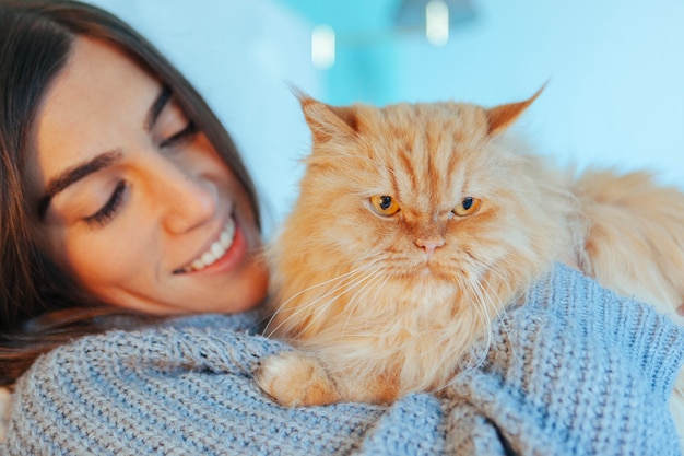 Retrato de um gato de abrigo com novo proprietário