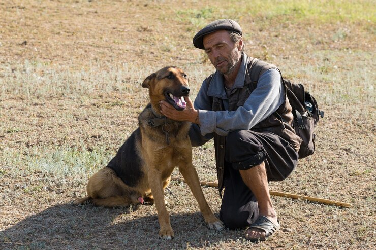 Foto retrato de um homem com um cão pastor de manhã cedo
