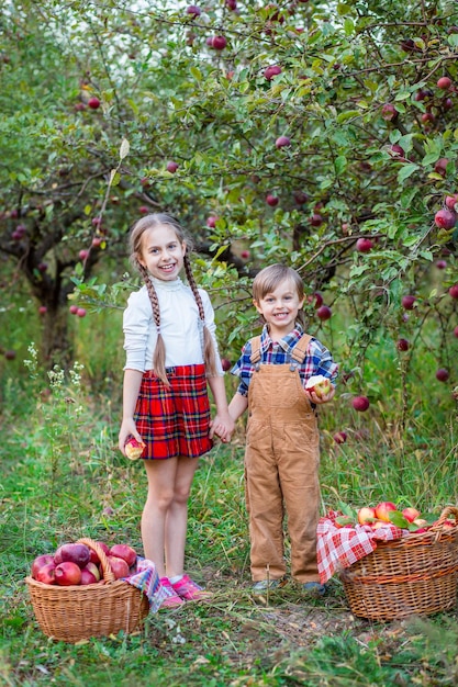 Retrato de um irmão e uma irmã no jardim com maçãs vermelhas na colheita do outono de maçãs