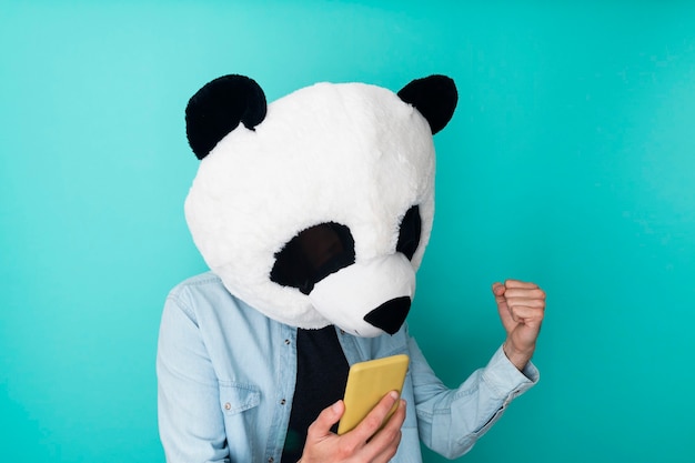 Foto retrato de um jovem animado, vestindo camiseta e máscara de panda, isolado na parede azul, usando telefone celular