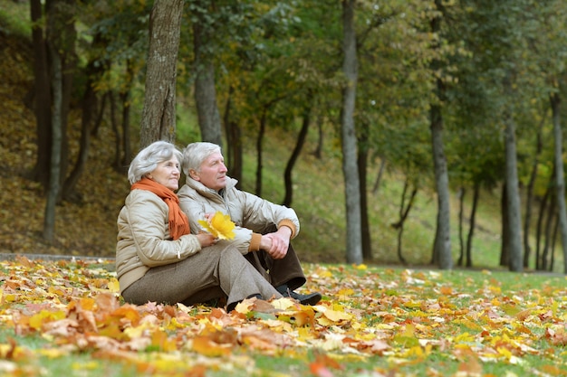 Retrato de um lindo casal de idosos no parque outono