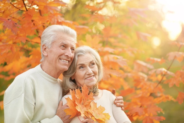 Retrato de um lindo casal sênior feliz com folhas de outono