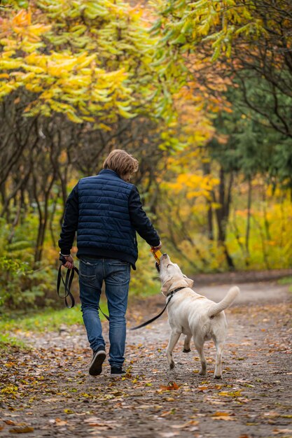 Retrato de um lindo golden retriever sentado na grama de corpo inteiro enquanto seu dono Jovem bonito em pé atrás dele com uma trela nas mãos