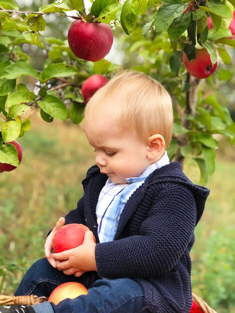 Retrato de um lindo menino comendo maçã no gramado