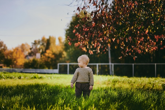 Foto retrato de um menino caminhando no parque de outono, árvores naturais e grama verde