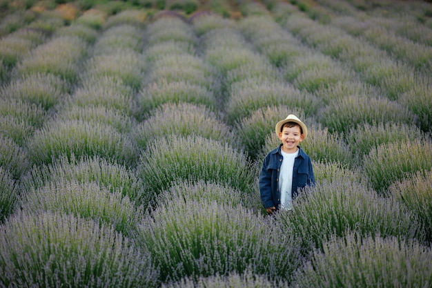 Retrato de um menino entre as fileiras com um arbusto de lavanda