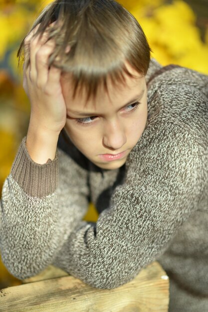 Retrato de um menino triste no parque outono