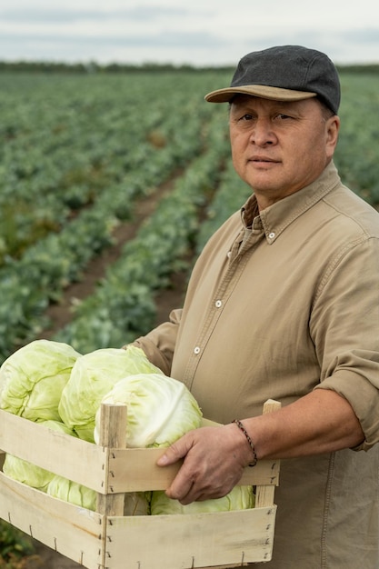 Foto retrato de um trabalhador asiático maduro sério de uma plantação de repolho em pé com uma caixa de madeira cheia no campo